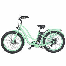 Classic Ebike Electric City Bike for Women with China Factory Price